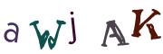 Resimli CAPTCHA