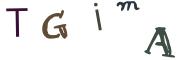Resimli CAPTCHA